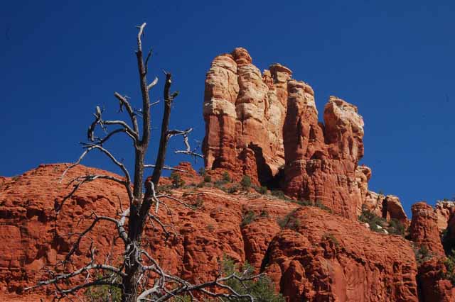 Marg's Draw Trail